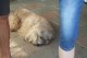 Thumbs/tn_Bild-01 007.jpg